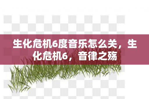 生化危机6度音乐怎么关图片