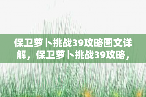 保卫萝卜挑战39攻略图文详解图片
