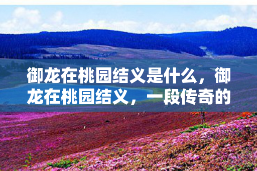 御龙在桃园结义是什么图片