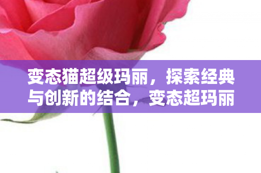 探索经典与创新的结合图片