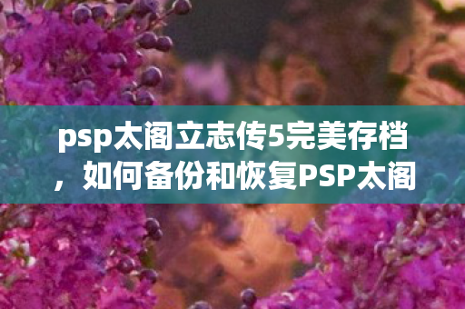 如何备份和恢复PSP太阁立志传5存档图片