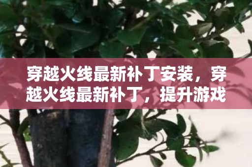 穿越火线最新补丁安装图片