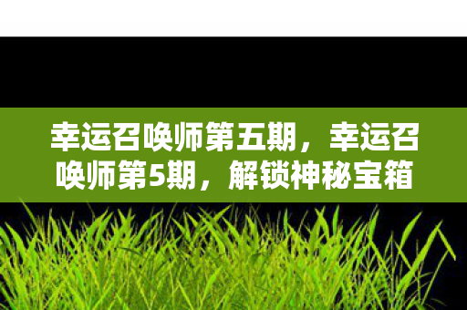 幸运召唤师第五期图片