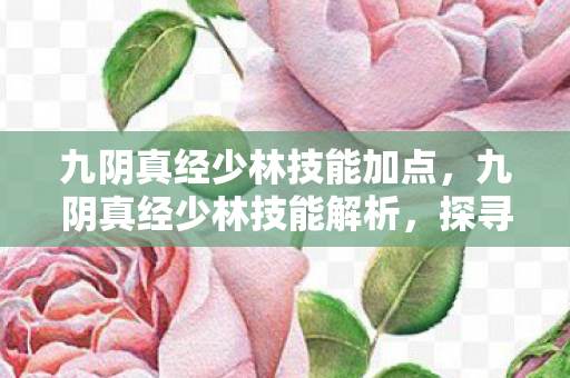九阴真经少林技能加点图片