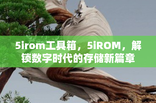 解锁数字时代的存储新篇章图片