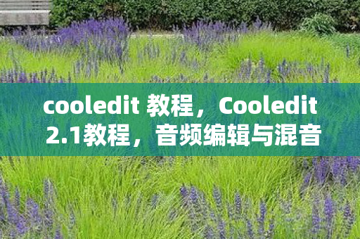 cooledit 教程图片