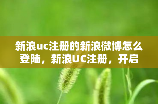 新浪uc注册的新浪微博怎么登陆图片
