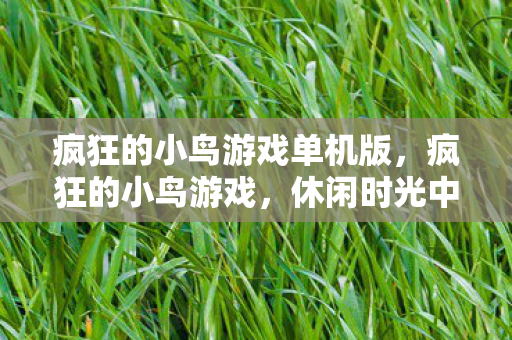 疯狂的小鸟游戏单机版图片