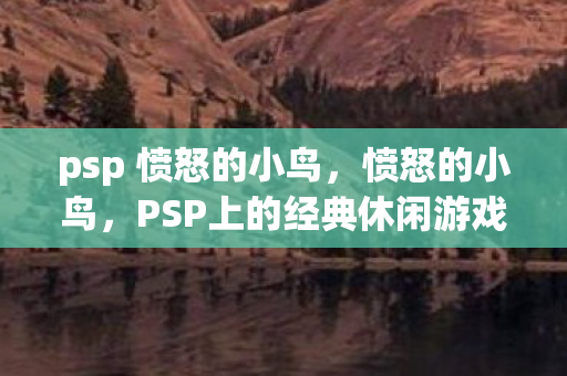 PSP上的经典休闲游戏图片