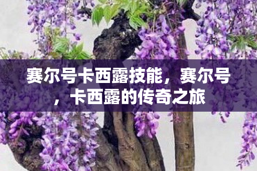 赛尔号卡西露技能图片