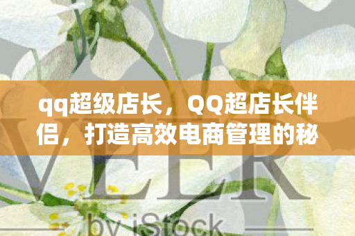 打造高效电商管理的秘密武器图片