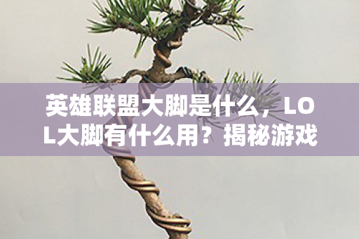 英雄联盟大脚是什么,LOL大脚有什么用?揭秘游戏中的神秘辅助工具 英雄联盟大脚是什么,LOL大脚有什么用?揭秘游戏中的神秘辅助工具
