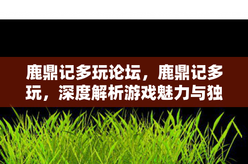 鹿鼎记多玩论坛，鹿鼎记多玩，深度解析游戏魅力与独特之处