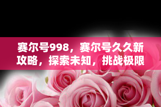 赛尔号久久新攻略图片