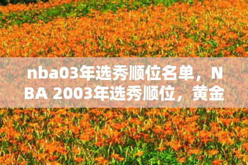 NBA 2003年选秀顺位图片