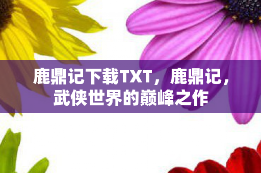 鹿鼎记下载TXT，鹿鼎记，武侠世界的巅峰之作