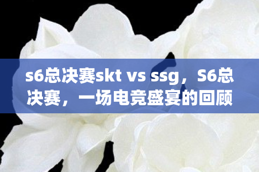 s6总决赛skt vs ssg图片