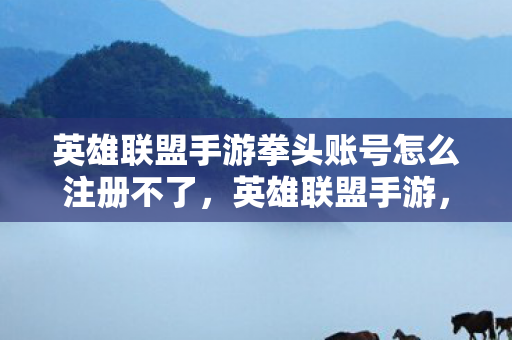 英雄联盟手游拳头账号怎么注册不了图片