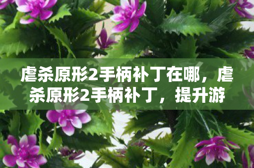 虐杀原形2手柄补丁在哪图片