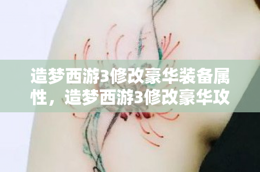 造梦西游3修改豪华装备属性图片