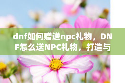 dnf如何赠送npc礼物图片