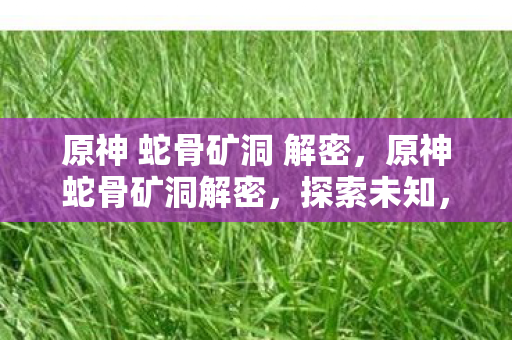 原神 蛇骨矿洞 解密图片