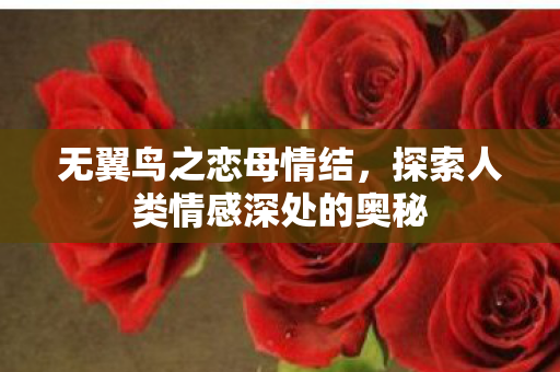 探索人类情感深处的奥秘图片