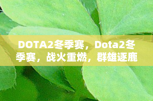 DOTA2冬季赛图片