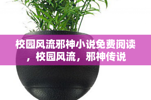 校园风流邪神小说免费阅读图片