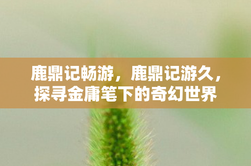 鹿鼎记畅游，鹿鼎记游久，探寻金庸笔下的奇幻世界