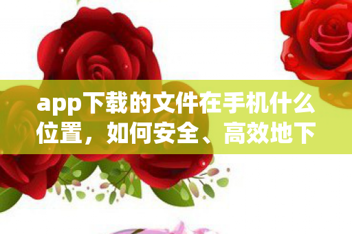 app下载的文件在手机什么位置图片