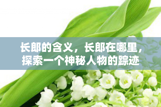 探索一个神秘人物的踪迹图片