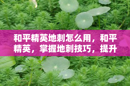 和平精英地刺怎么用图片