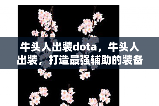 打造最强辅助的装备指南图片