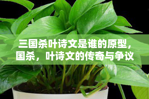 三国杀叶诗文是谁的原型图片