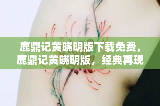 鹿鼎记黄晓明版下载免费，鹿鼎记黄晓明版，经典再现，值得重温