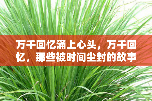 那些被时间尘封的故事图片