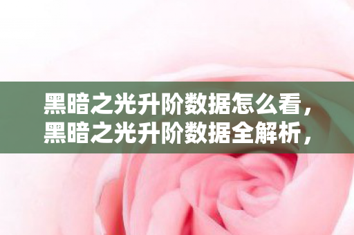 黑暗之光升阶数据怎么看图片
