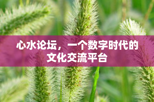 一个数字时代的文化交流平台图片