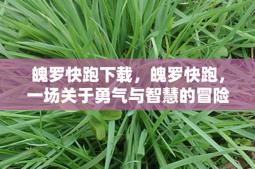 一场关于勇气与智慧的冒险图片