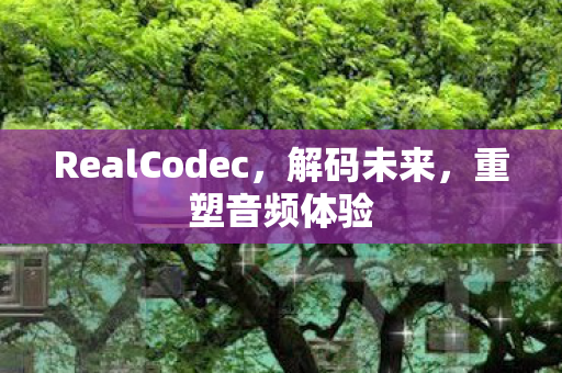 RealCodec图片
