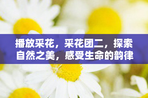 感受生命的韵律图片