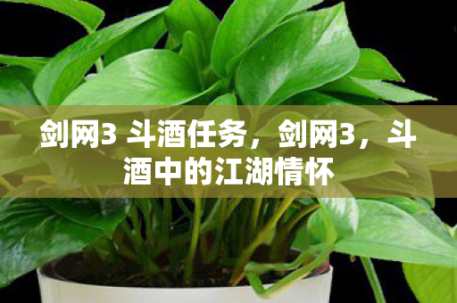 剑网3 斗酒任务图片