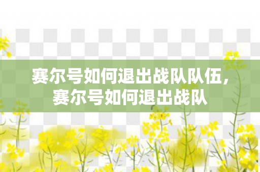 赛尔号如何退出战队队伍图片