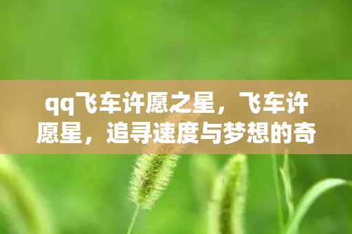 追寻速度与梦想的奇幻之旅图片