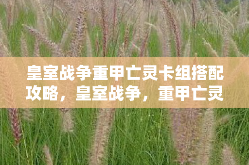 皇室战争重甲亡灵卡组搭配攻略图片