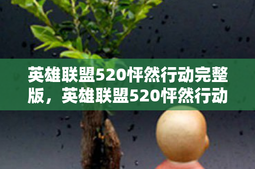 英雄联盟520怦然行动完整版图片