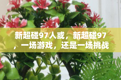 新超碰97人或图片