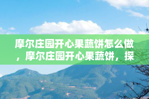 摩尔庄园开心果蔬饼怎么做图片