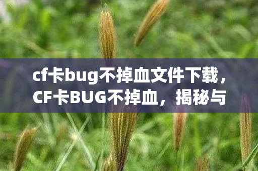 cf卡bug不掉血文件下载图片